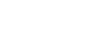 I COGNITO